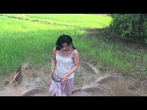 Fishing Girl, catch net fishing, Net fishing Cambodia, Traditional fishing in Khmer #7