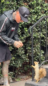 Toby Morse on Instagram: "Squirrelster  @derrickgreenofficial #TheAgeofSquirrel"