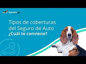 Tipos de coberturas del Seguro de Auto ¿Cuál te conviene? - Rastreator.mx®