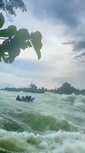 8 days murchision fall national park and gorilla trekking uganda 🇺🇬. 🚣‍♂️ Experience the Thrill: Water Rafting on the Nile! 🌊1/5 🌍 Did you know that the Nile River is not only the longest river in the world but is also home to some of the best water rafting experiences? 🚣‍♀️ Strap on your life jacket and get ready for an adventure of a lifetime!2/5 💦 The Nile offers a variety of rapids suitable for both beginners and experienced rafters. Whether you're looking for a leisurely float or an 