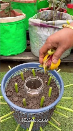 🌿 360° Vertical Garden + Compost in ONE Basket! Genius Hack 🤯 #Shorts