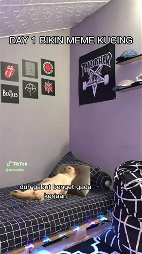 Meme Kucing yang Jahat Banget