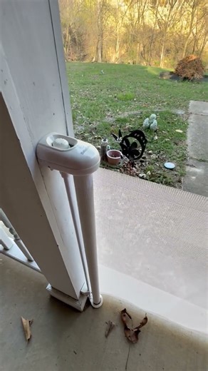 Is it worth it? Baby and dog retractable gate