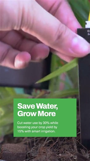 Guide to Smart Irrigation Setup