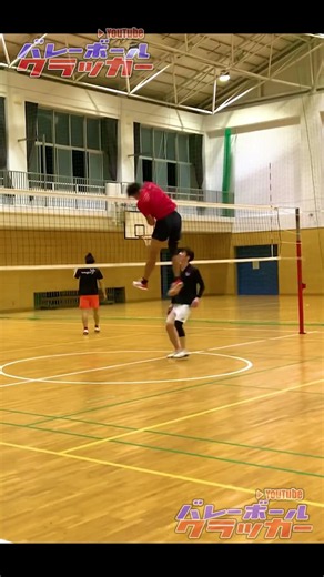 低身長なら飛べ！！#haikyuu #バレーボール #volleyball #ジャンプ力