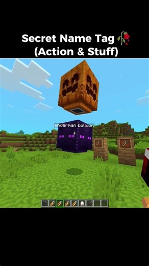 Minecraft Secret Name Tag Moment