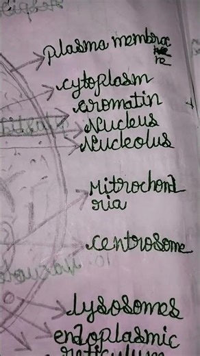 science drawing ❤️