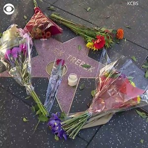 "I almost felt like if I got the right answer and he looked into the camera, I almost felt like he was looking at me. That was the charisma he had on TV": Fans remember Alex Trebek at his star on the Hollywood Walk of Fame. | CBS News