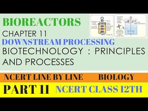 PART-11 BIOREACTORS||DOWNSTREAM PROCESSING||CLASS 12TH BIOLOGY CHAPTER 11 NCERT