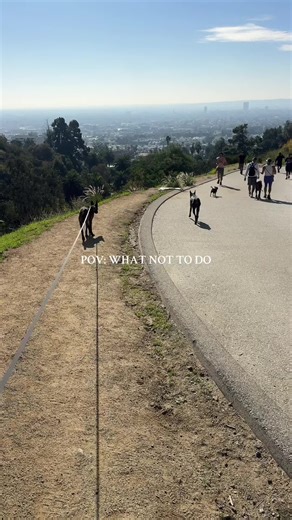 Building Trust with My Baby Steps Training