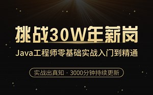【学完挑战30W年薪岗】Java工程师零基础实战入门到精通，实战出真知！（3000分钟持续更新）