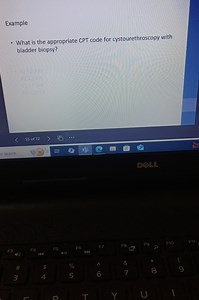 Example- What is the appropriate CPT code for cystourethroscop... | Filo