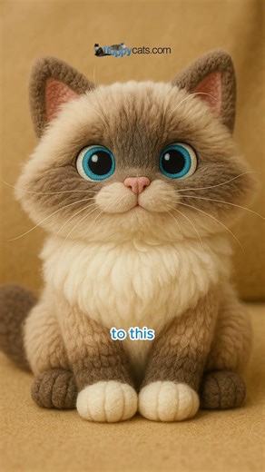 Trigg Is Now a Cuddle-Ready Collectible! 🎁