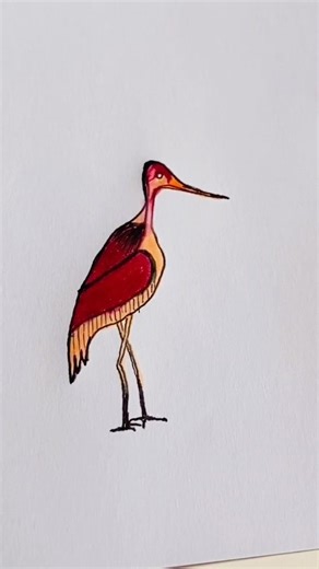 How To Draw Bird / Osprey Drawing #shorts