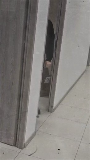 W Techion Group Halloween trwa cały rok! 🎃 Codziennie mierzymy się z prawdziwymi potworami – nie w szafie, a na naszych farmach fotowoltaicznych i w systemach energetycznych! Oto kilka z nich: 👻 Duch Przerw w Dostawie (The Outage Ghost): Pojawia się znienacka, by zakłócić stabilność sieci. Nasz zespół reaguje szybciej niż Van Helsing! 🧛 Wampir Energetyczny (The Energy Vampire): Nieefektywność i marnotrawstwo prądu, które potrafią przyprawić o zawał. My skutecznie wysysamy z nich energię, zami