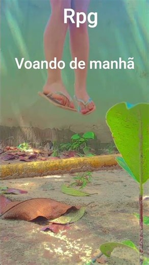 voando 🪽🪽 rpg
