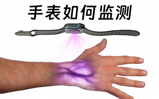【官方双语】智能手表背后为何有闪光灯？它是如何监测心率、血氧的？