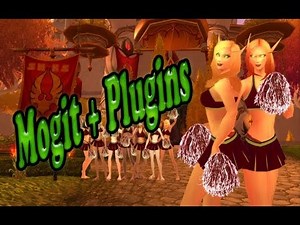 Besser aussehen in wenigen Minuten ! [Add On / Interface] der Woche [MogIt] + Plugins