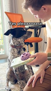 31K views · 22 reactions | Named Best Enrichment Toy of 2023, the...