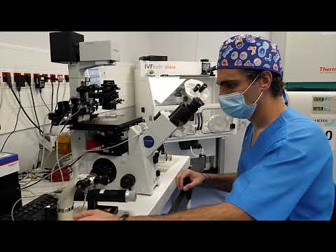 ICSI Procedure | Micro Tools