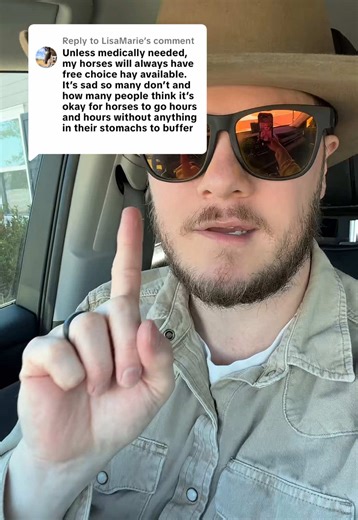 Essential Care Tips for Horses: 24/7 Access to Food