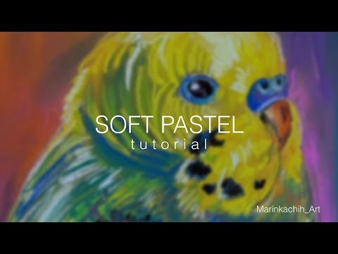 How to Draw a Parrot with Soft Pastels | Full Process & Tips