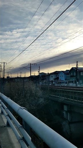 ３１５系電車ショート動画集３８２