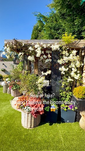 22K views · 544 reactions | Step into my garden oasis where Clematis Avalanche cascades and wisteria weaves its magic in the corners of my Pergola. ✨ Yes, these blooms are 100% REAL, and I’m obsessed with how they transform my pergola into a fairytale escape each year!懶懶 #GardenGoals #PergolaDreams #ClematisAvalanche #WisteriaWonder #BloomWithMe | Ourhomeonthefold | Facebook