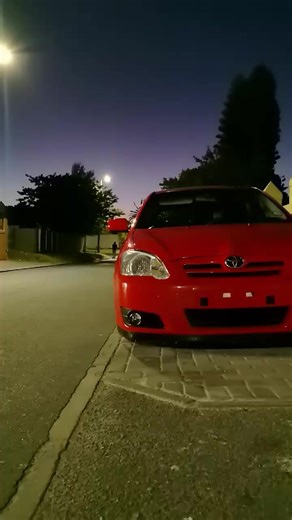 Ladies in Red: A Stunning Showcase