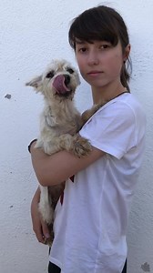 21K views · 1K reactions | En ningún momento sabíamos su estado...