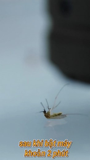 Test Máy đuổi muỗi di động Flextail MAX REPELLER ( sau khi bật máy 2 phút ) | Công Ty TNHH ProCamping