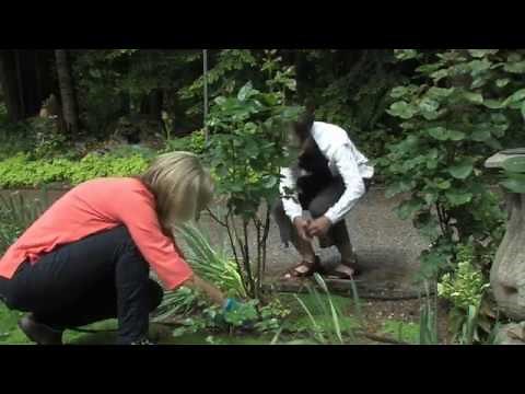 Use a soaker hose correctly (2013)