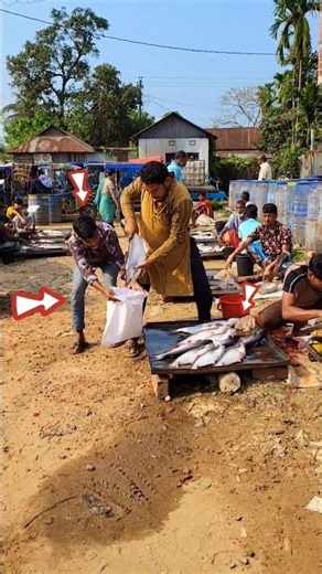 🙄😁🤩The shop owner had no idea the fish was stolen. #india #vietnam #southkorea #brazil #mexico #i...