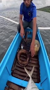 #reelsvideo #foryou #Amazing #fishing #fyp 🐟🐠🐟 | AmazingSea Vlog
