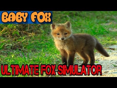 Ultimate Fox Simulator- Part 4 -BREEDING BABY FOX!- By Gluten Free Games - IOS/Android