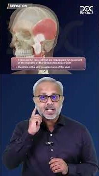 Muscles of Mastication | Anatomy | Dr. Tejaswi | MBBS