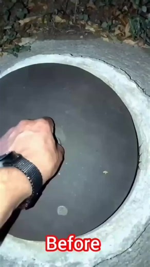 Incredible Animal Transformations: Before and After