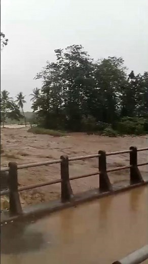 River Overflow Turns Into Severe Flood