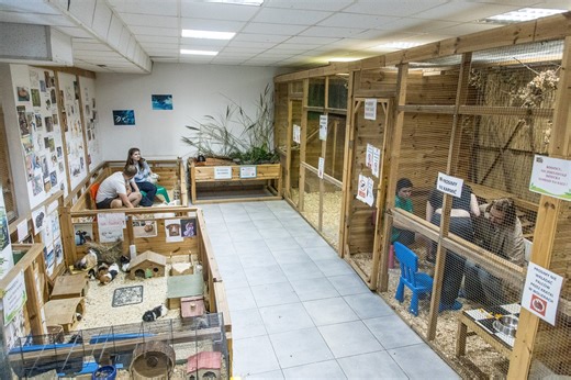 Jedyne takie miejsce w Warszawie. Tak wygląda Mini ZOO kontaktowe. To azyl dla niechcianych zwierząt