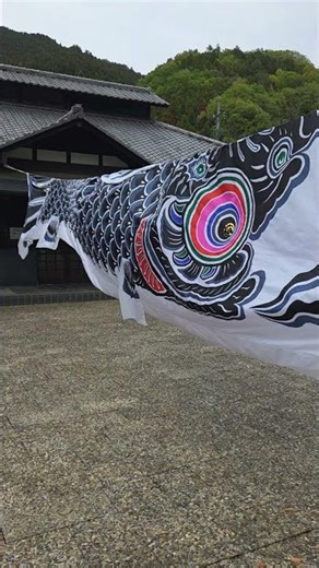 Celebrating Children's Day In Japan | Lovely Koi Nobori Display 🎏 Hidden Gem | Gunma | Japan