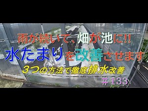排水改善 雨が続いて畑が池に、水たまりを改善させます ＃133 グリーンハウス栽培