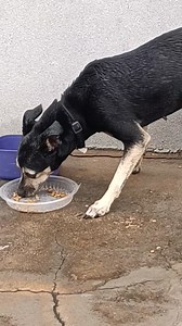 3.3K views · 63 reactions | Alex Ramon on Reels | Facebook