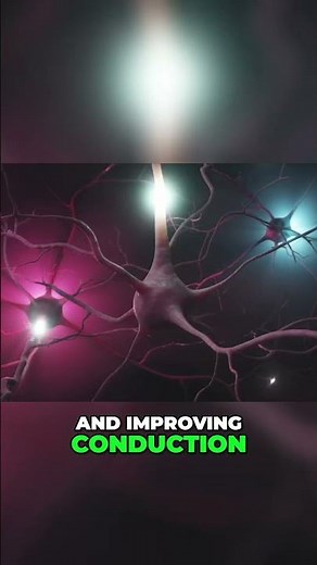 Unlocking the Power of Vitamin B12 for Nerve Health