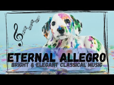 Joyful Classical Music | Bright & Elegant Classical Music for Focus and Inspiration