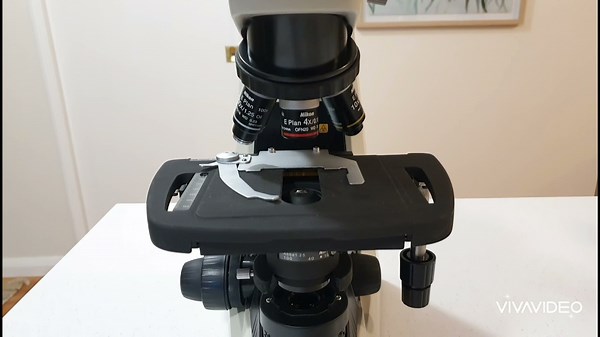 Testing Out My New Microscope