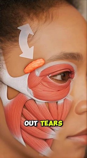 This Happens To Your Eyes Every Time You Tear Up 👁️ #anatomy #mindblown