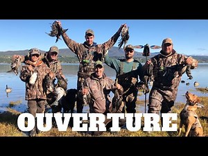 Ouverture chasse au canard /Québec 2020