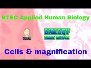 BTEC Applied Human Biology Unit 1 A1 - Cells & magnification summary