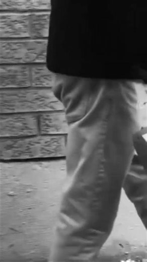 “The Mysterious Lunch Box” what’s inside will always be sealed and only the Dodo Bird knows #art