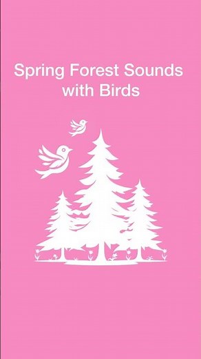 Spring forest sounds with birds